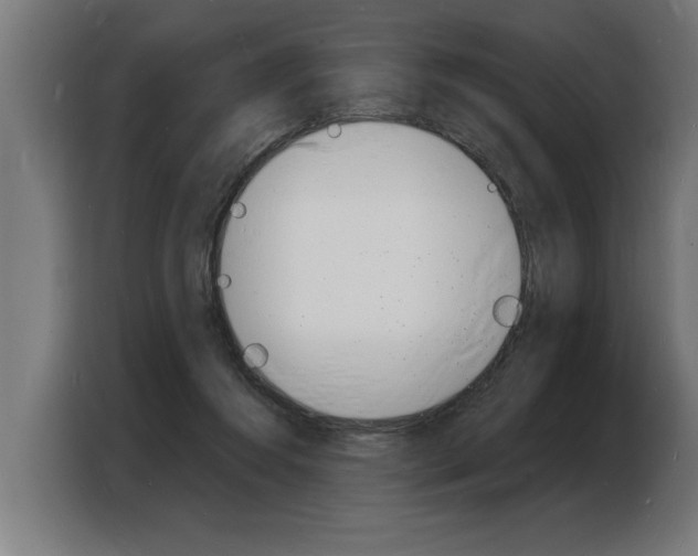 X0000103970360200810311529