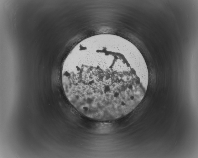 X0000103970361200810311529