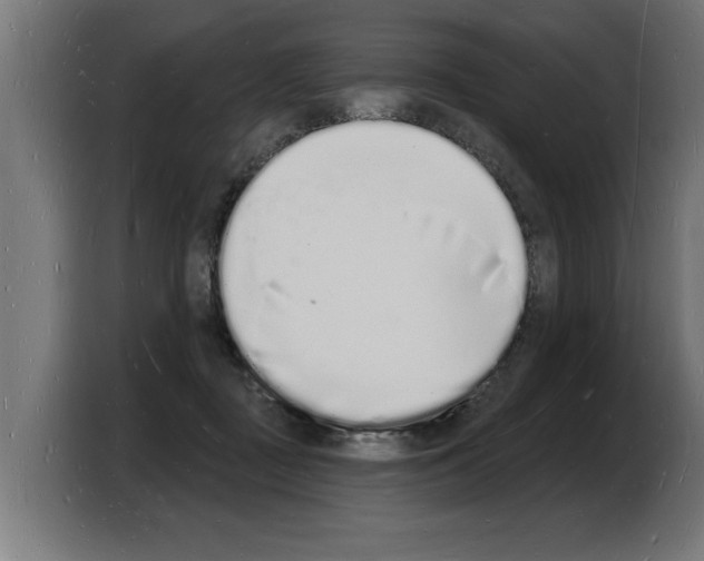 X0000103970363200810311529