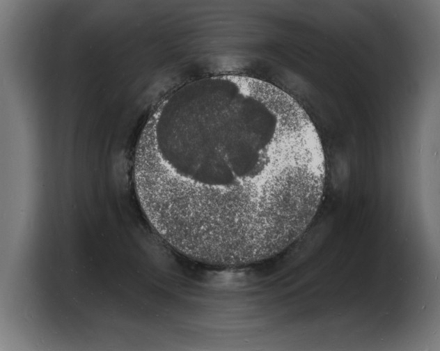 X0000103970366200810311529