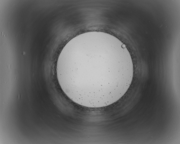 X0000103970368200810311529