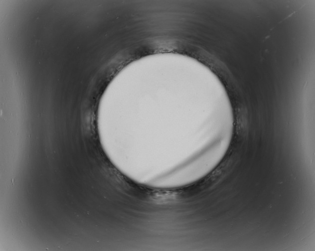 X0000103970369200810311529