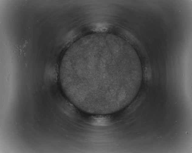 X0000103970370200810311529