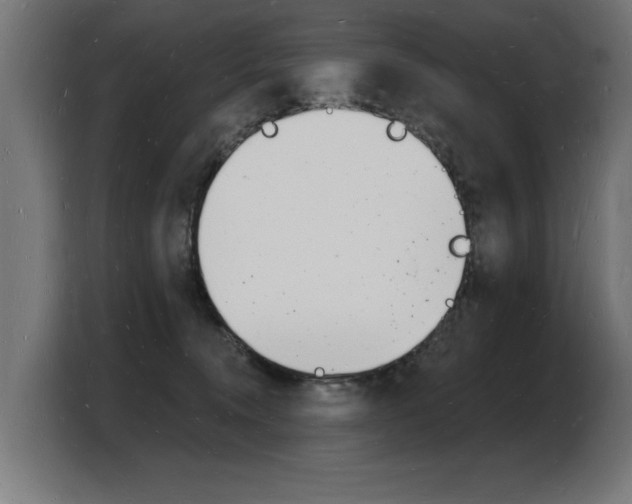 X0000103970372200810311529