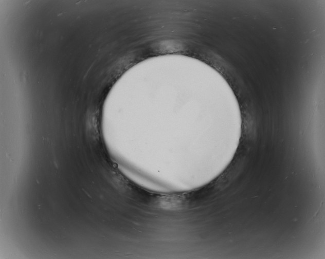 X0000103970373200810311529