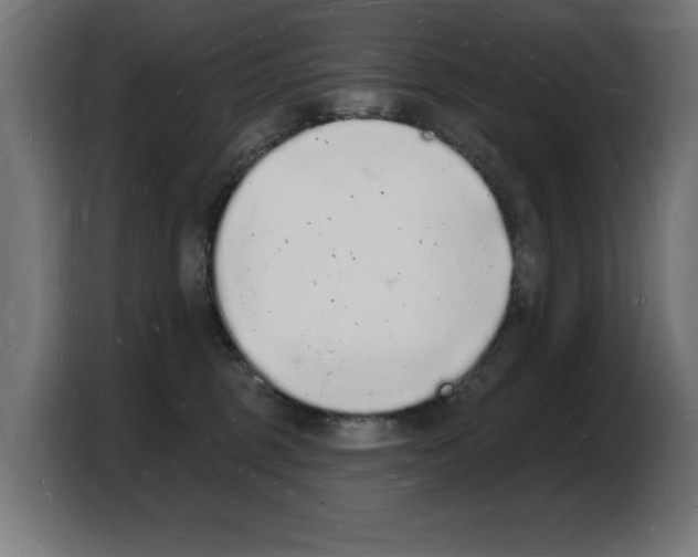 X0000103970375200810311529