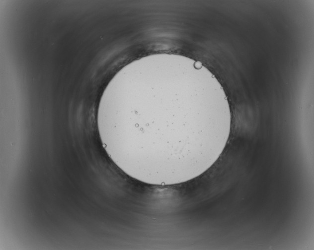 X0000103970376200810311529