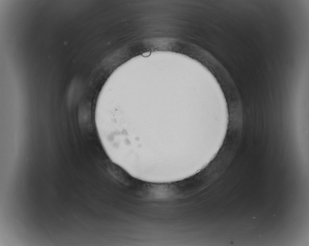 X0000103970377200810311529
