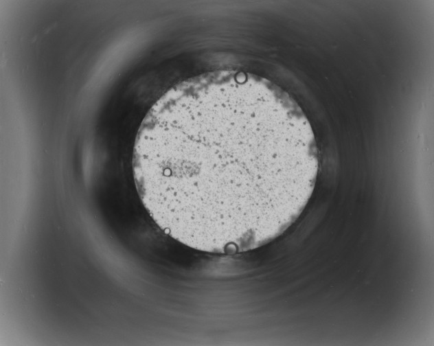 X0000103970382200810311529