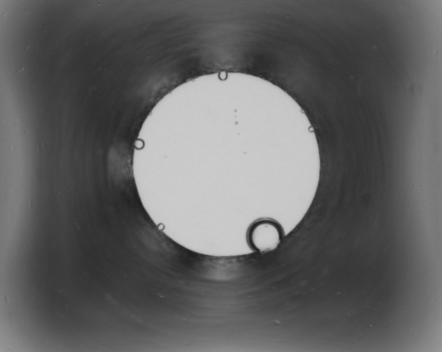 X0000103970384200810311529