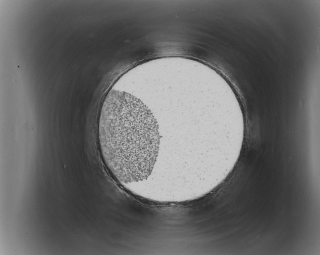 X0000103970385200810311529