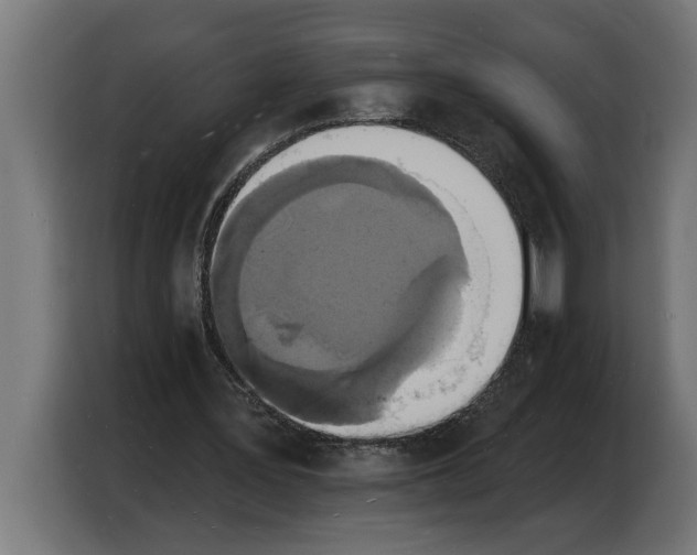 X0000103970387200810311529
