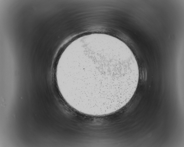 X0000103970388200810311529