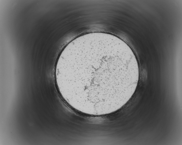 X0000103970389200810311529