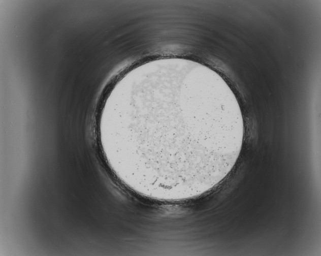 X0000103970392200810311529