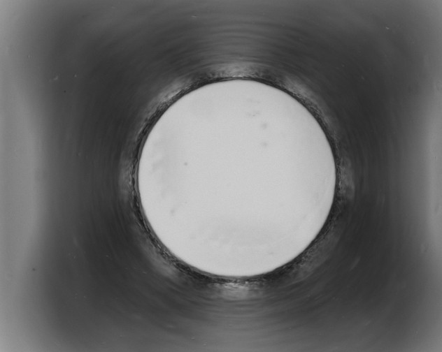 X0000103970394200810311528