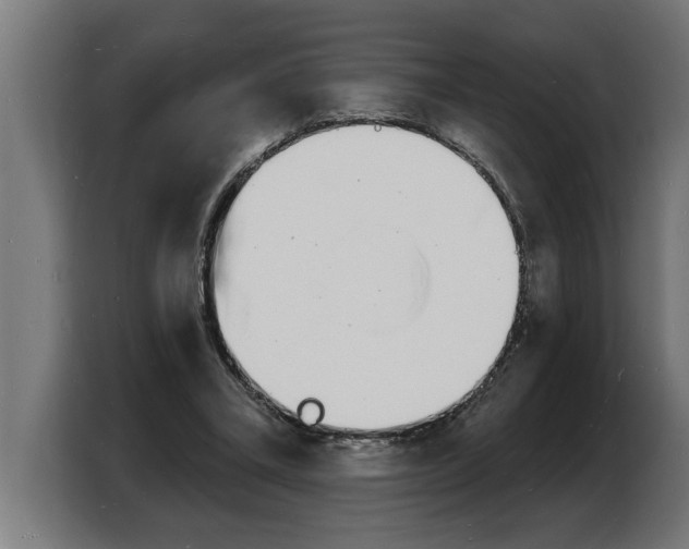 X0000103970395200810311528