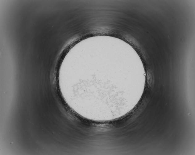 X0000103970396200810311528