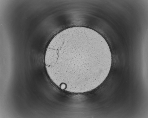 X0000103970397200810311528