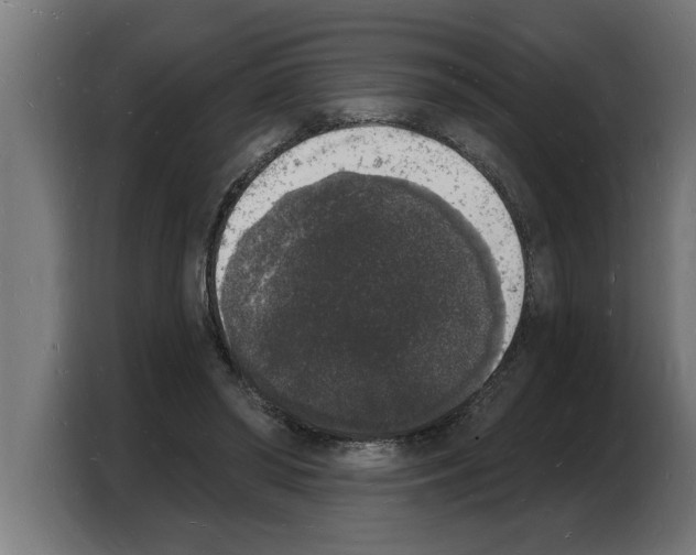 X0000103970398200810311528