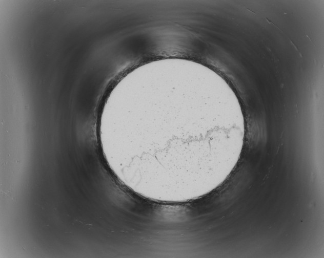 X0000103970399200810311528