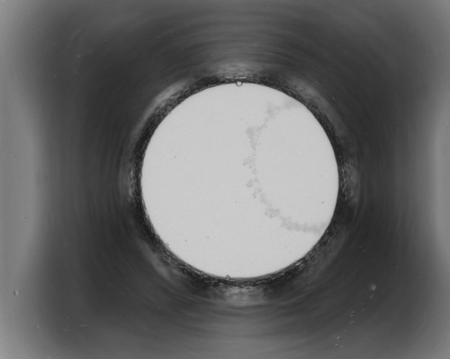 X0000103970400200810311528