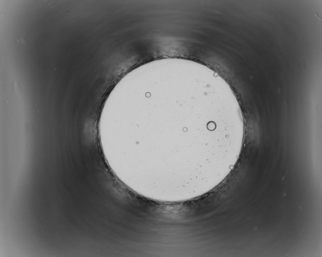 X0000103970401200810311528