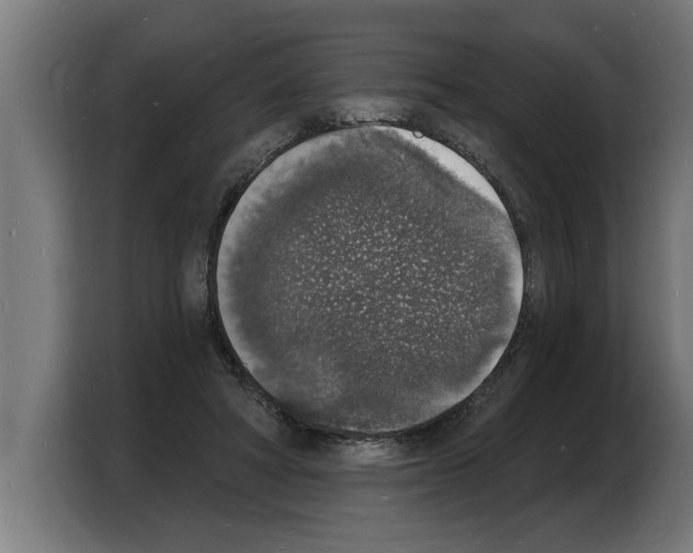 X0000103970402200810311528