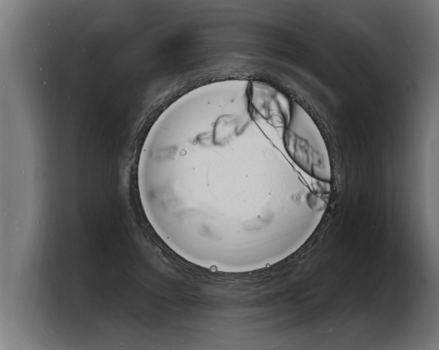 X0000103970403200810311528