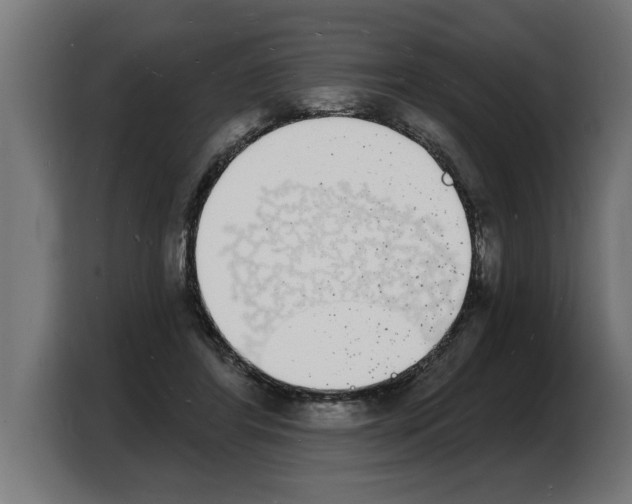 X0000103970404200810311528