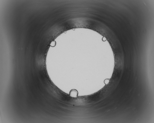 X0000103970405200810311528