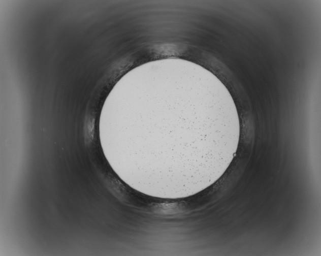 X0000103970406200810311528