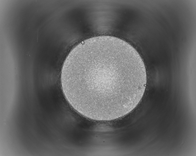 X0000103970407200810311528