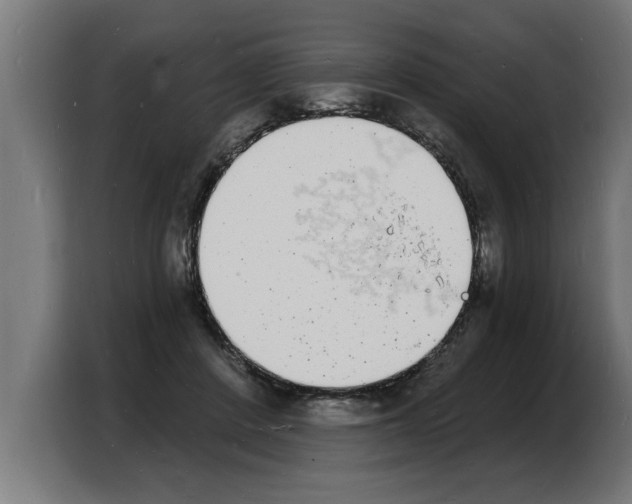 X0000103970408200810311528