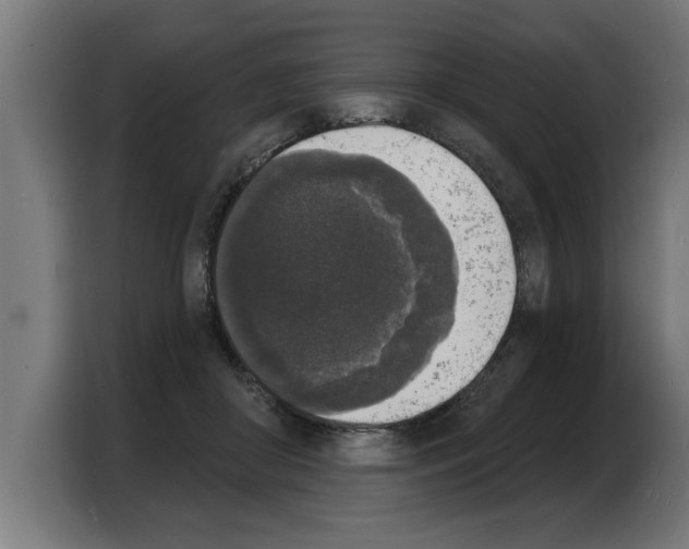X0000103970410200810311528