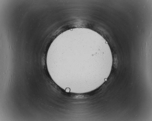 X0000103970413200810311528