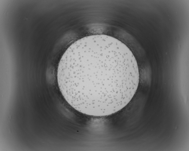 X0000103970414200810311528