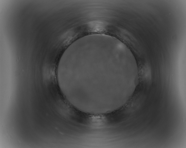 X0000103970415200810311528