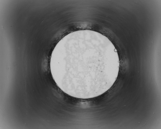 X0000103970416200810311528