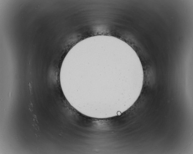 X0000103970417200810311528