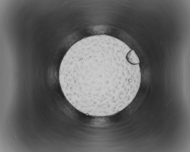 X0000103970418200810311528