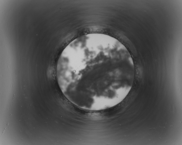 X0000103970419200810311528