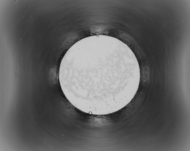 X0000103970420200810311528