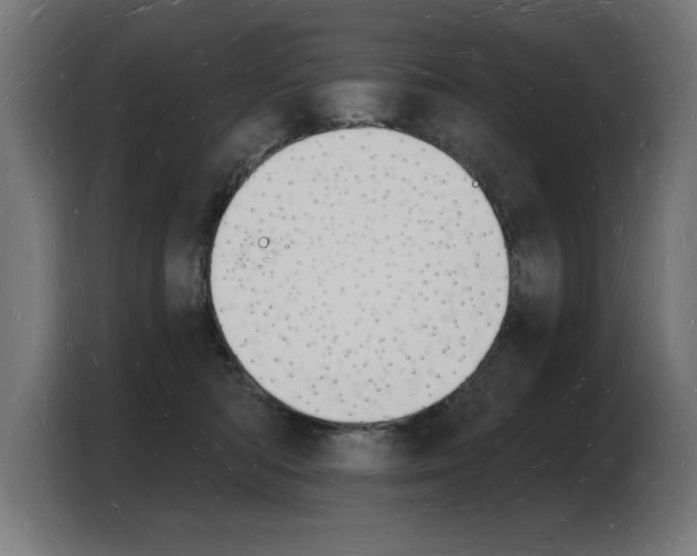 X0000103970422200810311528
