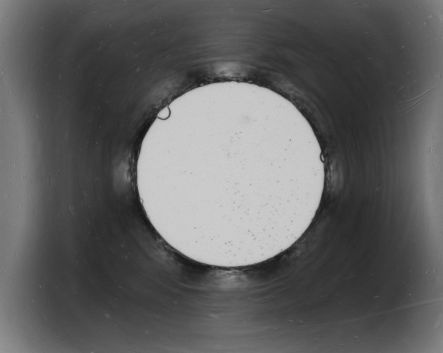 X0000103970424200810311528