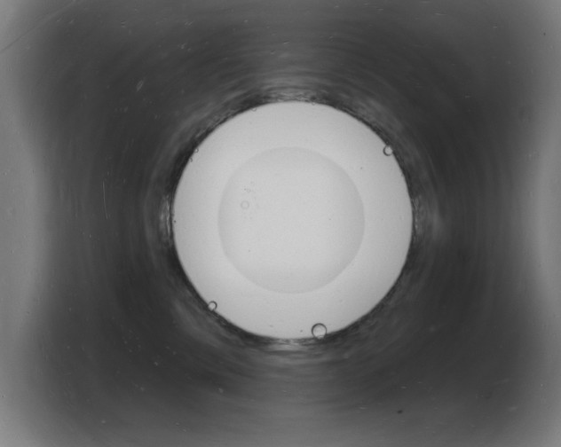 X0000103970425200810311528