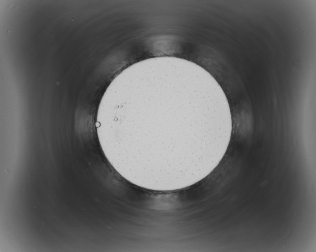 X0000103970426200810311528