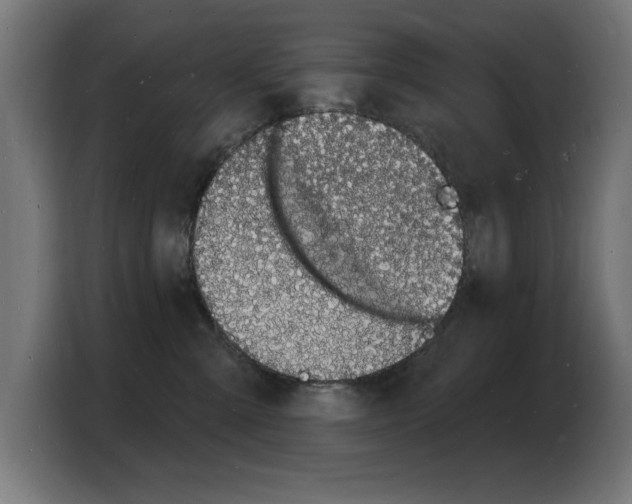 X0000103970427200810311528