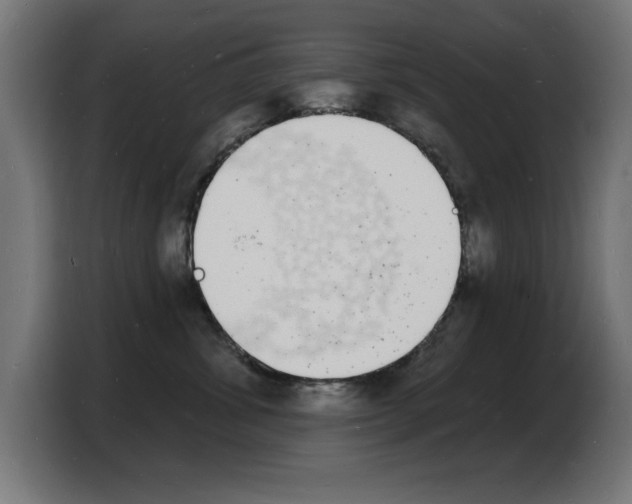 X0000103970428200810311528