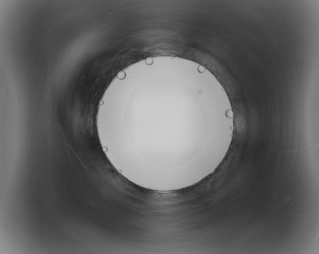 X0000103970429200810311528